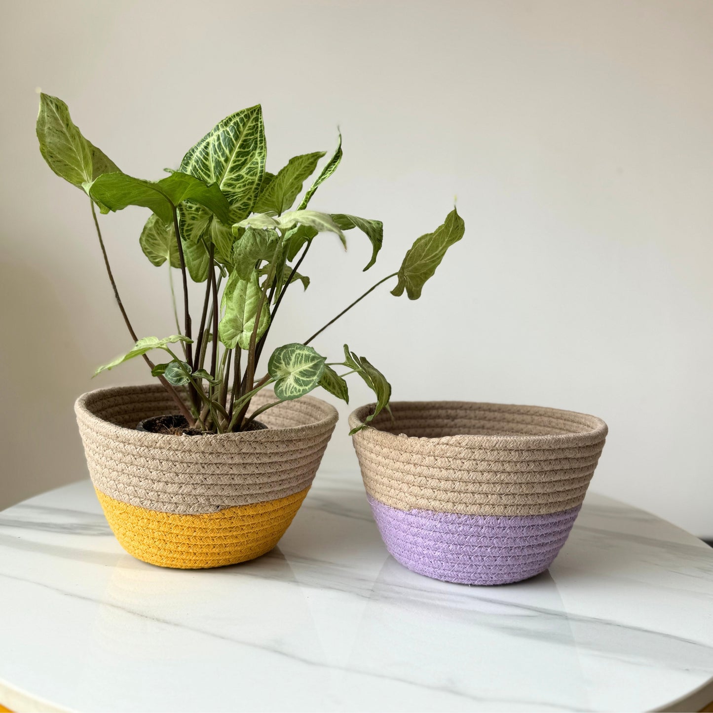 Bloom & Glow Cotton Tokri Set( Yellow & Lavender)| Set Of 2 Organiser
