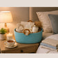 Luna Wooden Ring Rope Basket- Aqua